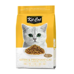 Food for pregnant cat discount